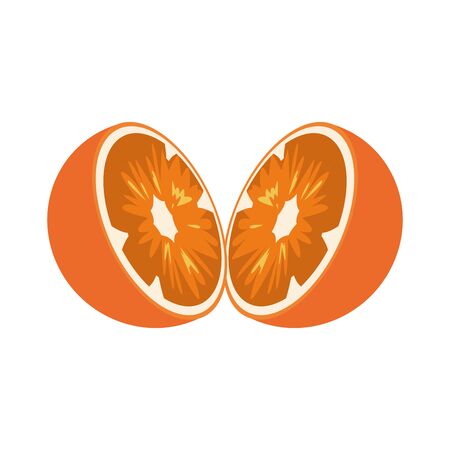 halved orange fruit icon over white background, vector illustrationのイラスト素材