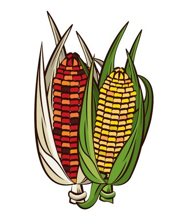 corn cob vegetable thanksgiving icon vector illustration designのイラスト素材