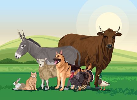 group of animals farm in the landscape scene vector illustration designのイラスト素材