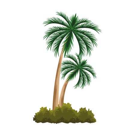 palms and bushes icon over white background, vector illustrationのイラスト素材