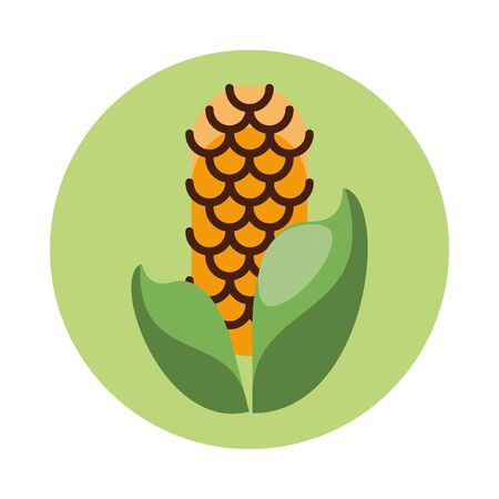 corn cob vegetable thanksgiving icon vector illustration designのイラスト素材