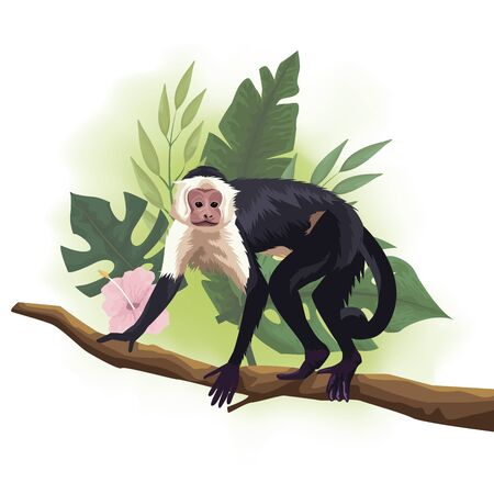 wild Capuchin monkey in tree branch scene vector illustration designのイラスト素材