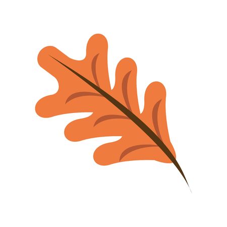 thanksgiving leaf plant autumn icon vector illustration designのイラスト素材