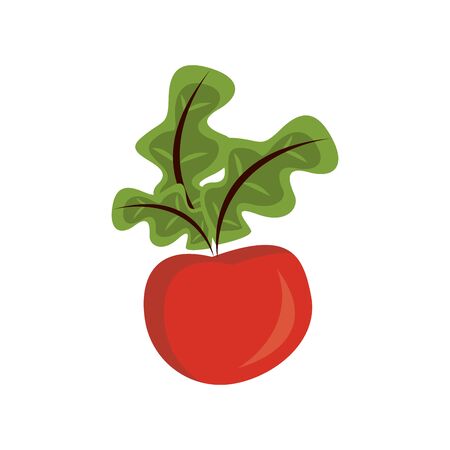 sweet grapes fruits and leafs nature icon vector illustration designのイラスト素材