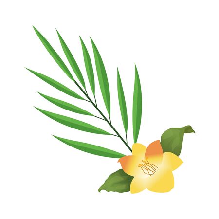 yellow flower and tropical leaf icon over white background, vector illustrationのイラスト素材