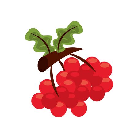 sweet grapes fruits and leafs nature icon vector illustration designのイラスト素材