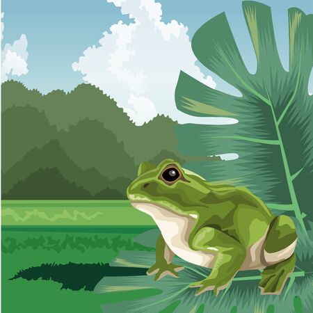 frog on leaves tropical fauna and flora landscape vector illustrationのイラスト素材