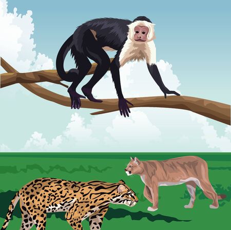 monkey on branch and leopard felines tropical fauna and flora landscape vector illustrationのイラスト素材