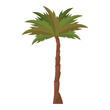 nature palm tree environment cartoon vector illustration graphic designのイラスト素材