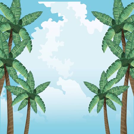 palms tree foliage botanical tropical background vector illustrationのイラスト素材