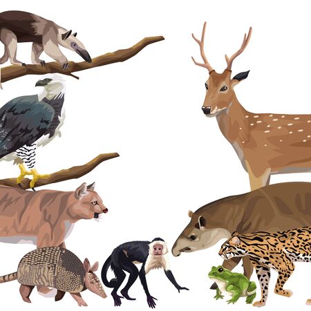 group of wild animals characters vector illustration designのイラスト素材