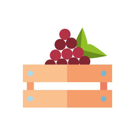 grapes fresh fruits in wooden basket vector illustration designのイラスト素材