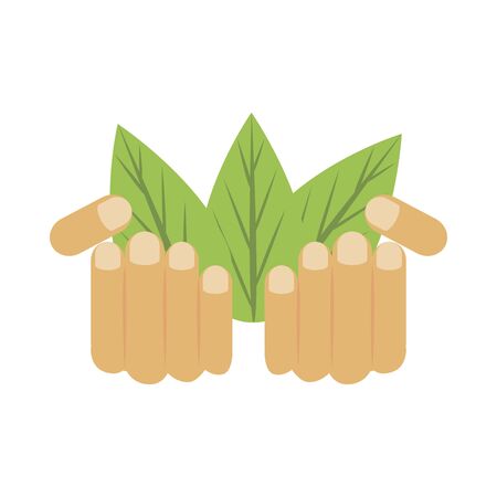 ecology leafs plant isolated icon vector illustration designのイラスト素材