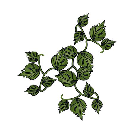 grape plant leafs nature icon vector illustration designのイラスト素材