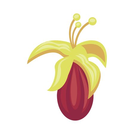 exotic and tropical flower nature icon vector illustration designのイラスト素材