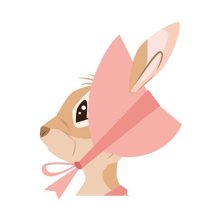 cute little female rabbit easter character vector illustration designのイラスト素材