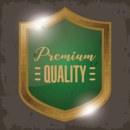 shield badge golden emblem icon vector illustration designのイラスト素材