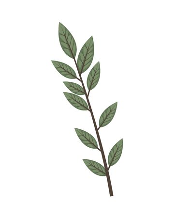branch with leafs plant ecology icon vector illustration designのイラスト素材