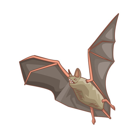 bat flying animal isolated icon vector illustration designのイラスト素材