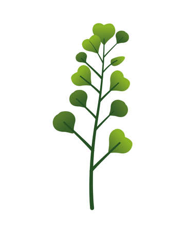 branch with leafs plant nature icon vector illustration designのイラスト素材