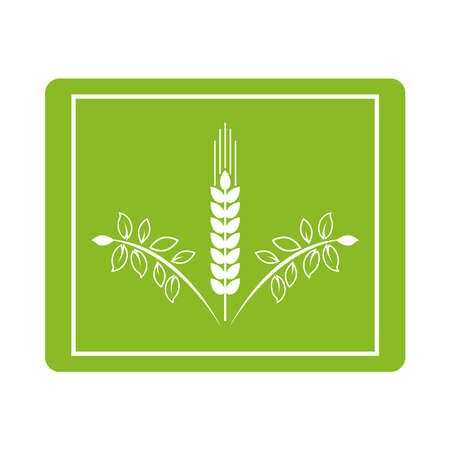 spikes plants organic product icon vector illustration designのイラスト素材