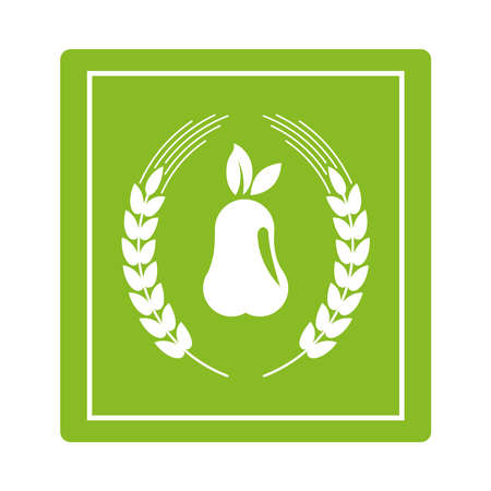 pear fresh fruit with leafs organic product vector illustration designのイラスト素材