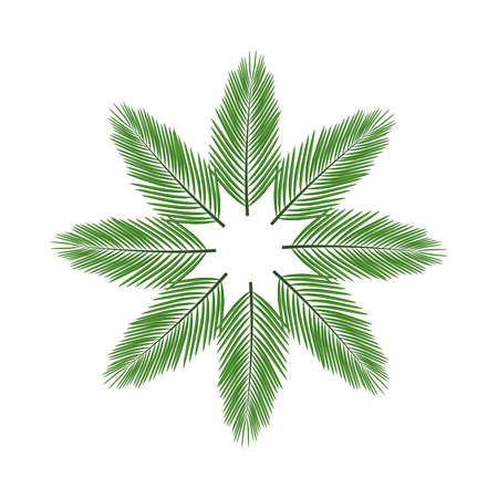 tropical leafs palms summer icon vector illustration designのイラスト素材