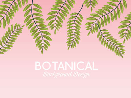 tropical leafs and lettering botanical background design vector illustration designのイラスト素材