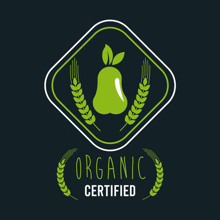 premium and healthy food poster with pear and leafs vector illustration designのイラスト素材