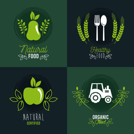 premium and healthy food poster with set icons vector illustration designのイラスト素材