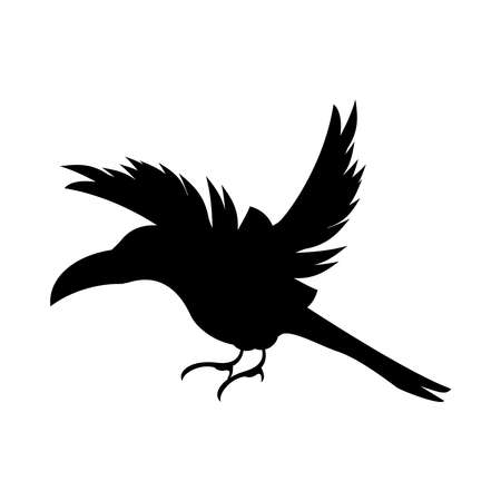 wild toucan bird animal flying silhouette vector illustration designのイラスト素材