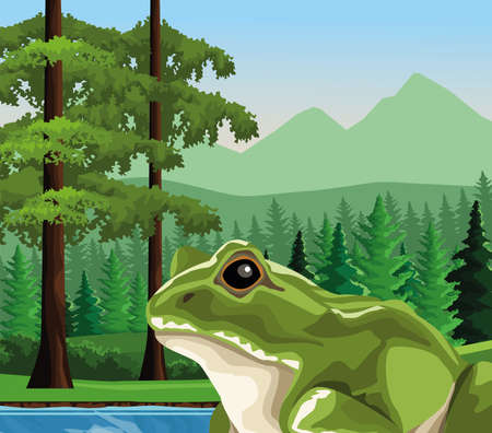 frog animal in the landscape scene vector illustration designのイラスト素材