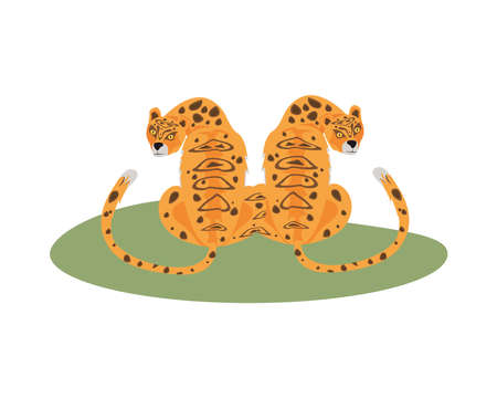 wild leopards felines beast animals vector illustration designのイラスト素材