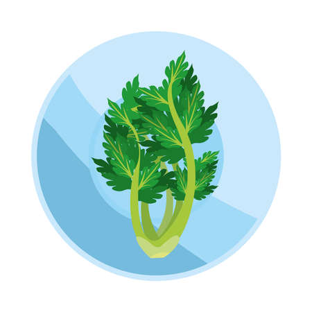 onion branch healthy vegetable detailed style icon vector illustration designのイラスト素材