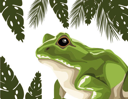 frog animal in the landscape scene vector illustration designのイラスト素材