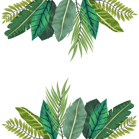 tropical leafs palm nature frame vector illustration designのイラスト素材