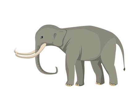 wild elephant animal nature icon vector illustration designのイラスト素材