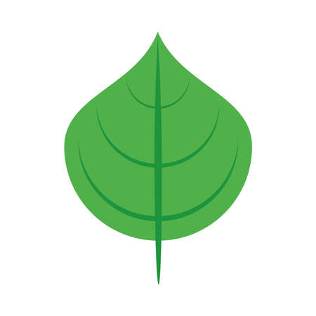 ecology leaf plant nature icon vector illustration designのイラスト素材