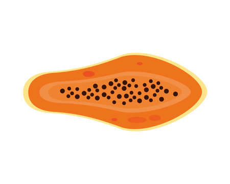 papaya fresh delicious fruit isolated style icon vector illustration designのイラスト素材