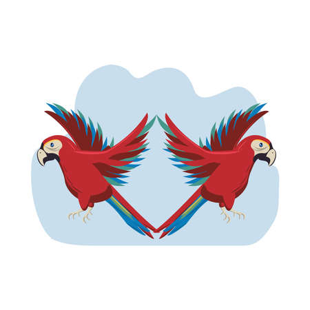 wild exotic macaws birds animals flying vector illustration designのイラスト素材