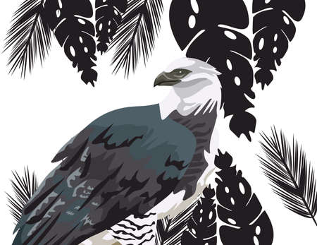 beautifull wild eagle in the landscape scene vector illustration designのイラスト素材
