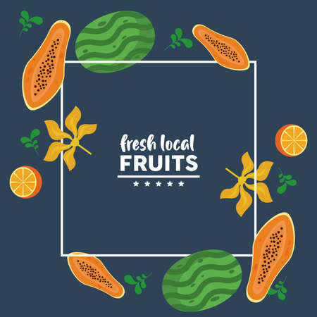fresh local fruits with watermelons and papayas in blue background vector illustration designのイラスト素材