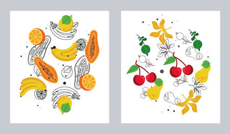 fresh local fruits set of patterns in white background vector illustration designのイラスト素材