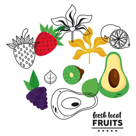 fresh local fruits lettering with set fruits in white background vector illustration designのイラスト素材