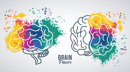 brains power templates with colors splash vector illustration designのイラスト素材