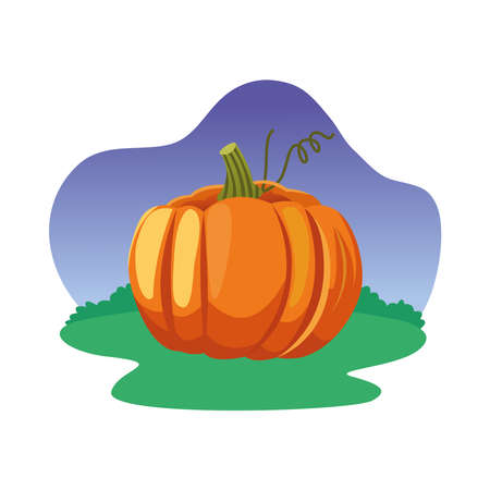 Pumpkin design, Fruit healthy organic food sweet and nature theme Vector illustrationのイラスト素材