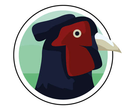 wild pheasant bird animal head vector illustration designのイラスト素材