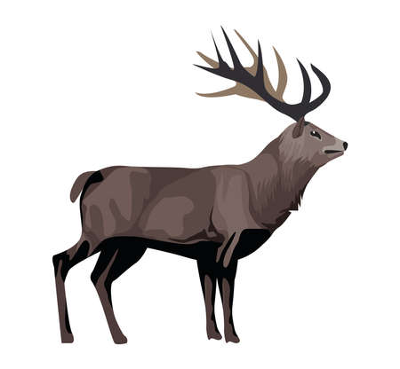 wild reindeer animal nature icon vector illustration designのイラスト素材