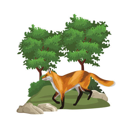 wild fox animal in the landscape scene vector illustration designのイラスト素材