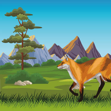 wild fox animal in the landscape scene vector illustration designのイラスト素材